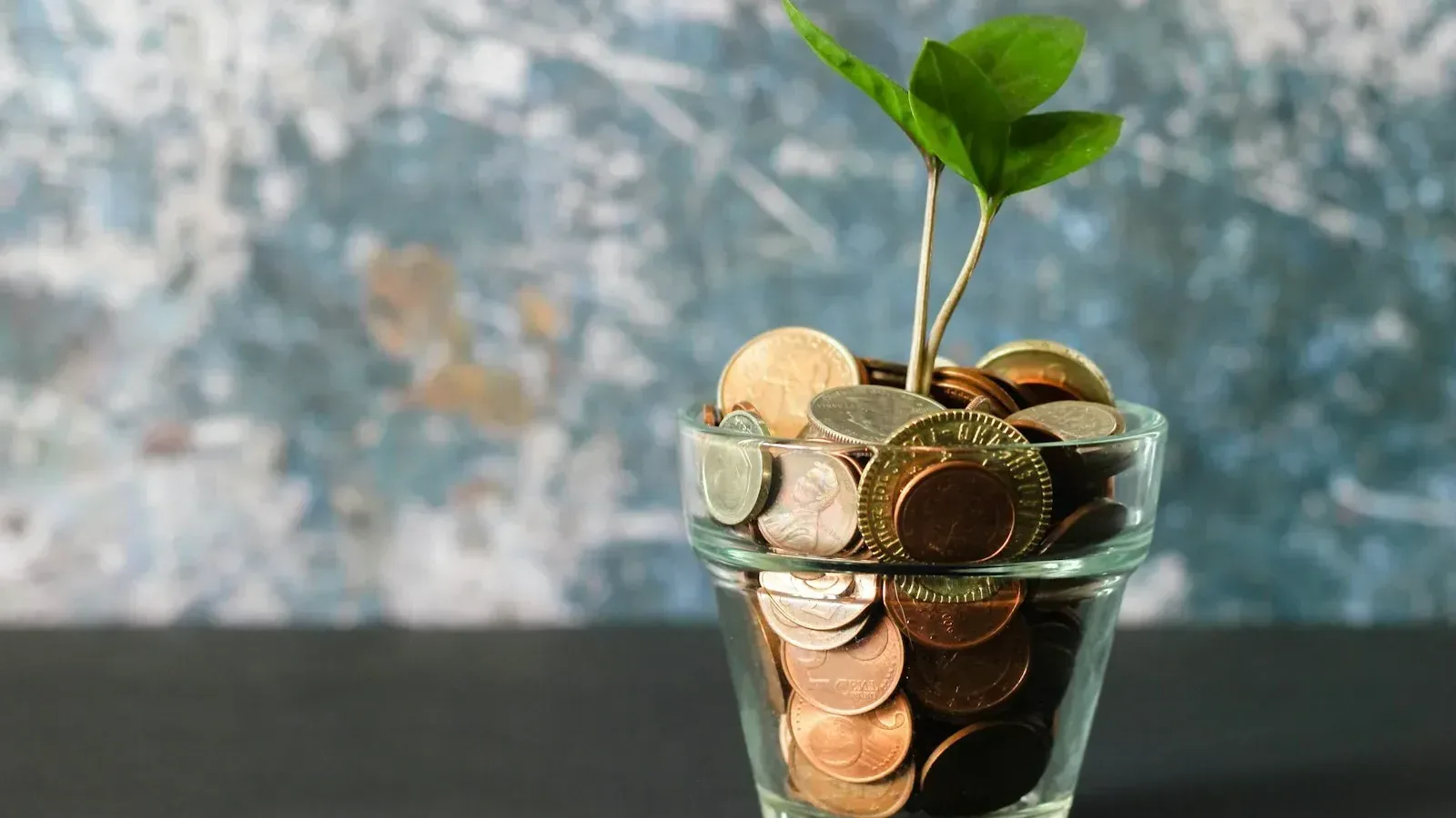 A glass jar of coins with a green seedling growing from it