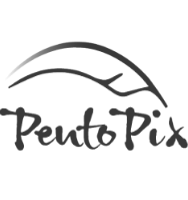PentoPix