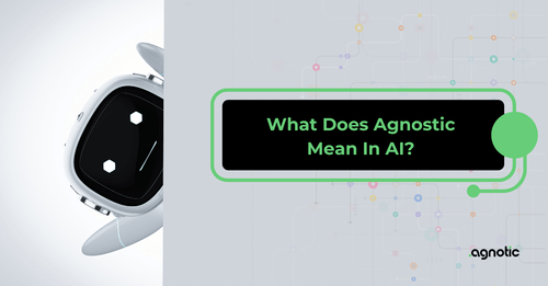 What Does Agnostic Mean In AI